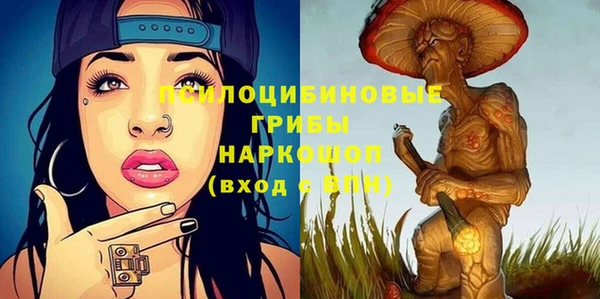 мдпв Нея