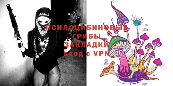спиды Аркадак