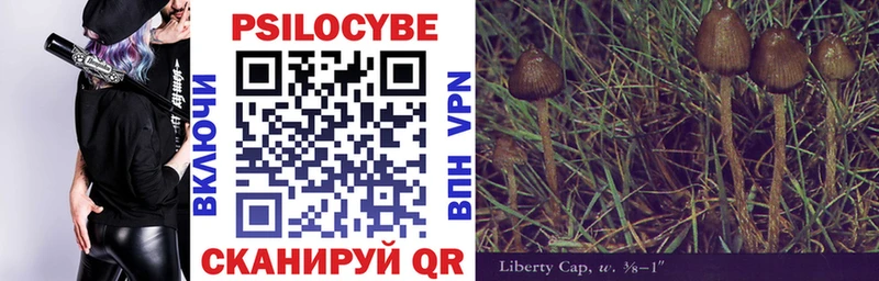 купить   Лиски  Галлюциногенные грибы мицелий 